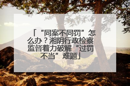 “同案不同罚”怎么办？湘阴行政检察监督着力破解“过罚不当”难题